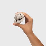 Cangrejera respetuosa infantil Nemo Arena