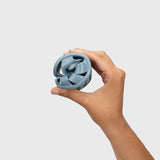 Cangrejera respetuosa infantil Nemo Oceano