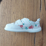 Deportiva respetuosa Pargo Pulpo