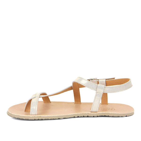 SANDALIA FLEXY W GOLD SHINE - FRODDO BAREFOOT - Imagen 3