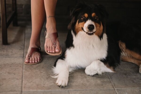 Sandalia PROMENADE  DARK BROWN - BE LENKA - Imagen 2